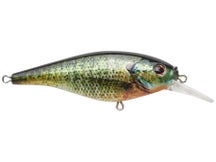 Berkley Flicker Shad HD Shallow Crankbait