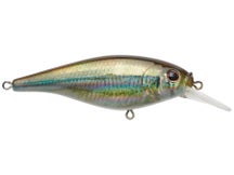 Berkley Flicker Shad HD Shallow Crankbait