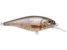 Berkley Flicker Shad Shallow HD Fathead Minnow 3"