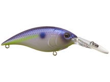 Berkley Money Badger 6.25 Crankbaits