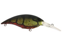 Berkley Money Badger 5 Crankbaits