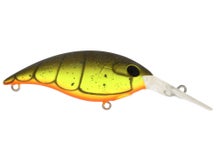 Berkley Money Badger 6.75 Crankbaits