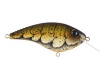 Berkley Frittside X 5 Biggun Crankbait