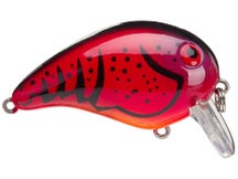 Bomber Next Gen Shallow A Crankbait