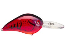 Bomber Next Gen Fat A B06F Crankbait