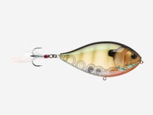 Berkley Slap Gill Topwater Walking Bait
