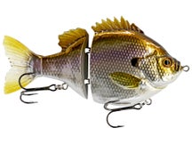 Fishlab Bio Gill Pro Glide Bait