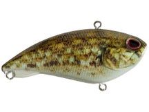 Berkley Jack 6 Lipless Crankbait