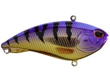 Berkley Jack 6 Lipless Crankbait