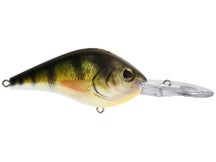 Berkley Dredger HD 10.5 Crankbait 