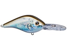 Berkley Dredger HD 14.5 Crankbait 