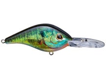 Berkley Dredger HD 14.5 Crankbait 