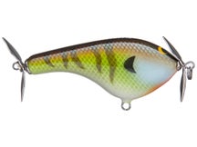 Black Label Cliff Pace Tease Balsa Propbait 