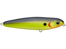 Bagley Knocker B Topwater Walking Bait