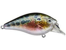 Baker Lures Suspending Squarebill RGD1 Crankbait