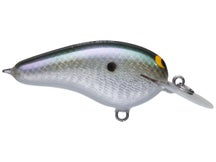 Black Label Cliff Pace Cliffie Flat Crankbait