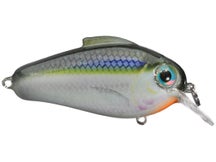 Bill Lewis Echo 1.75 Squarebill Crankbaits