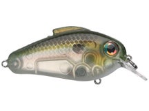 Bill Lewis Echo 1.75 Squarebill Crankbaits