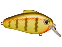 Bill Lewis Echo 1.75 Squarebill Crankbaits