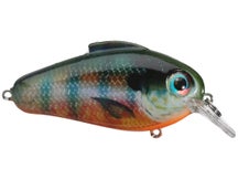 Bill Lewis Echo 1.75 Squarebill Crankbaits