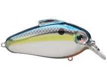 Bill Lewis Echo 1.75 Squarebill Crankbaits