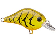 Bill Lewis Gnat Tiny Squarebill Crank 1/8oz