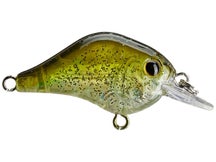 Bill Lewis Gnat Squarebill Smallie Magic