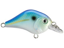 Bill Lewis Gnat Tiny Squarebill Crank 1/8oz