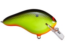 Black Label Cliff Pace Headhunter Squarebill Crank