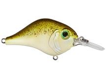 Bill Lewis MR-6 Crankbaits