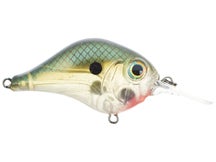 Bill Lewis MR-6 Crankbait Green Gizzard Shad