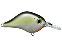 Bill Lewis MR-6 Crankbaits