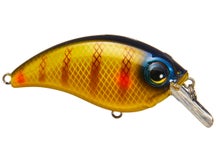 Bill Lewis ATV Squarebill 2.5 Crankbait