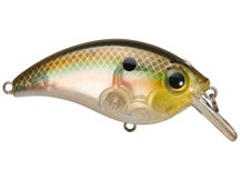Bill Lewis ATV Squarebill 2.5 Crankbait