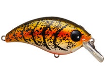 Bill Lewis ATV Squarebill 2.5 Crankbait