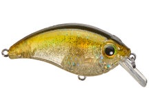 Bill Lewis ATV Squarebill 2.5 Crankbait