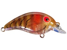 Bandit Lures 50 Series Crankbait