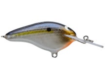 Black Label Cliff Pace Shiver Balsa Crankbait