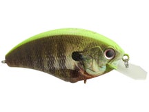 OSP Blitz Max Crankbait