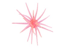 BaitFuel Nano Spike 9mm Urchin Bait