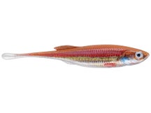 Berkley PowerBait Drip Minnow HD Rainbow Shiner 5"
