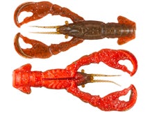 Berkley Powerbait Crick Craw 6pk