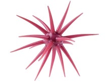 Berkley PowerBait MaxScent Moeba Creature Bait
