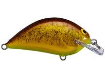 Bagley Balsa Pro Sunny B Squarebill Crankbait