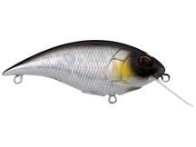 Berkley Shallow Money Badger 6.25 Crankbait