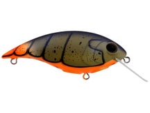 Berkley Shallow Money Badger 6.25 Crankbait