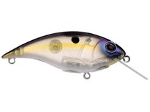 Berkley Shallow Money Badger 7.25 Crankbait