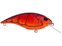 Berkley Shallow Money Badger 7.25 Crankbait