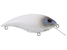Berkley Shallow Money Badger 5 Crankbait
