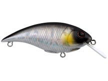 Berkley Shallow Money Badger 5 Crankbait